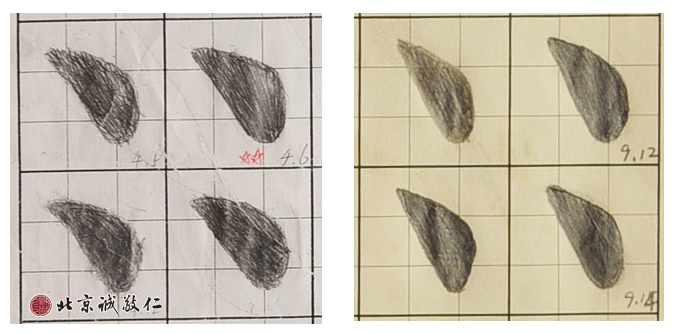 描紅六個月前后對比