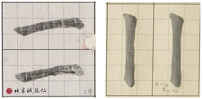 描紅一年前后對比