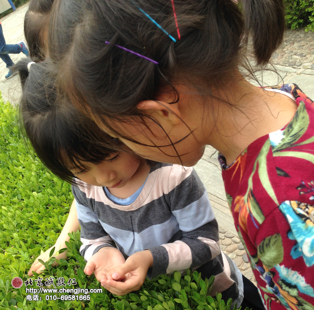 我們觀察到小蟲蟲