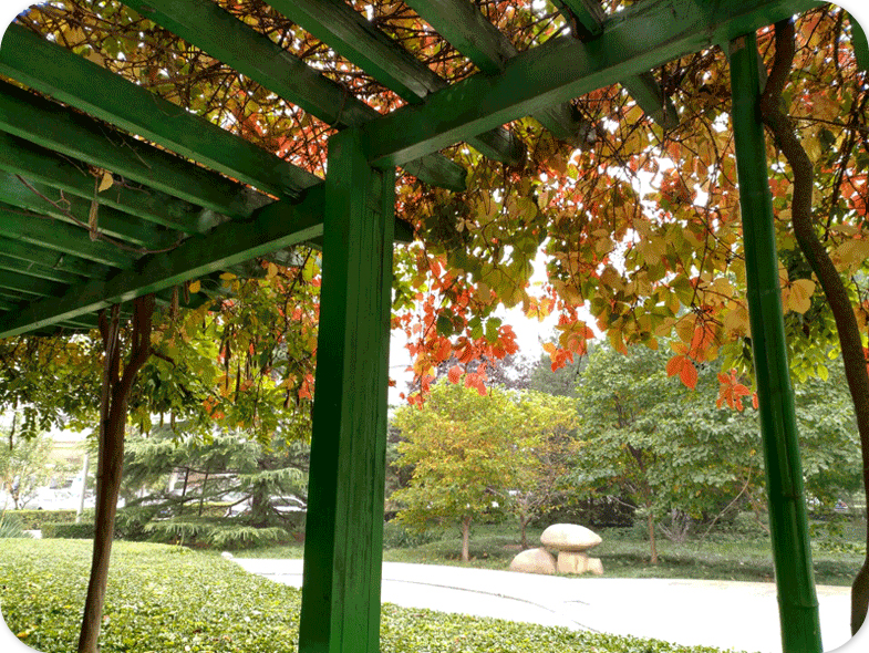 進步都是每次的不放棄與努力的堆疊，這一過程收獲的是自律與耐力。