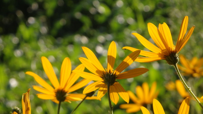 北京誠敬仁2015年多元德藝夏令營滿載著沉甸甸的期待和希望啟航；