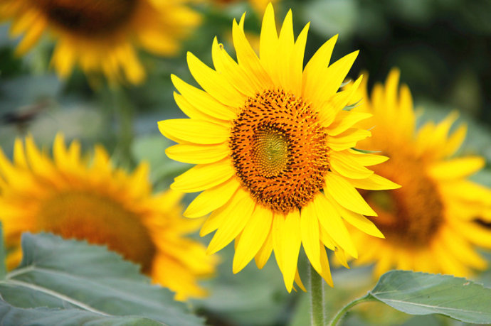 北京誠敬仁2015年多元德藝夏令營滿載著沉甸甸的期待和希望啟航；