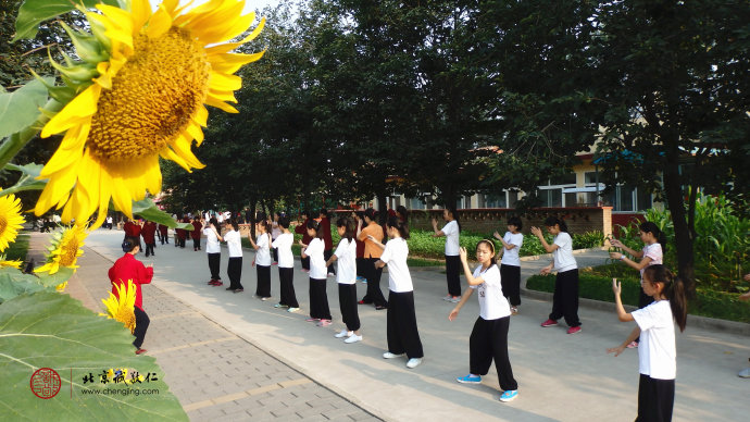 
晨光中，身心和諧練太極。