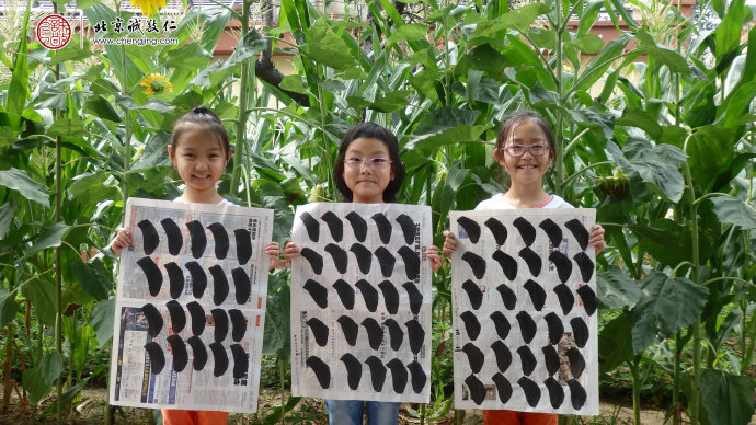 
少年班學員習作展示
