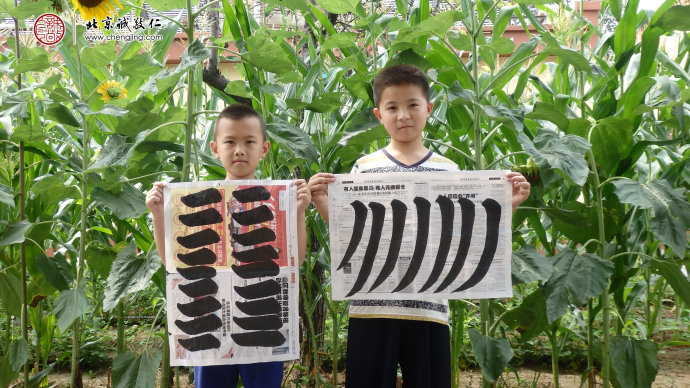 書法一班學員永字八法習作展示