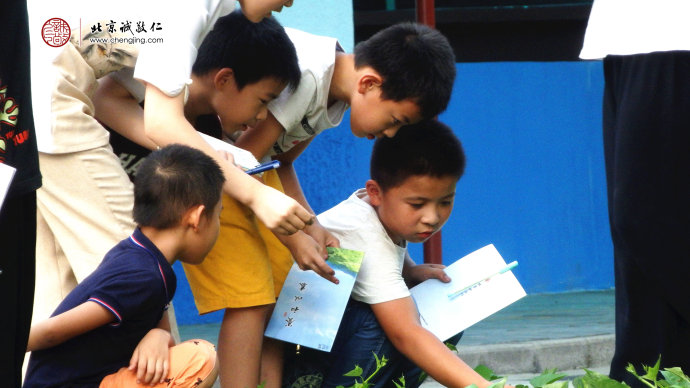 
孩子們認(rèn)真觀察蔬菜的特點