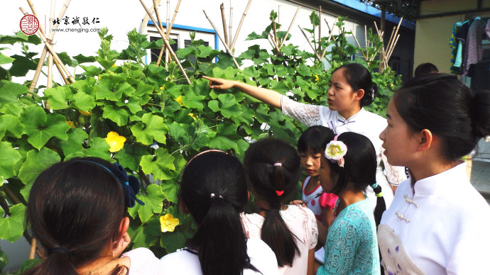 
走進(jìn)大自然，了解給予我們生命能量的蔬菜瓜果，從自然萬物中學(xué)習(xí)生活智慧。