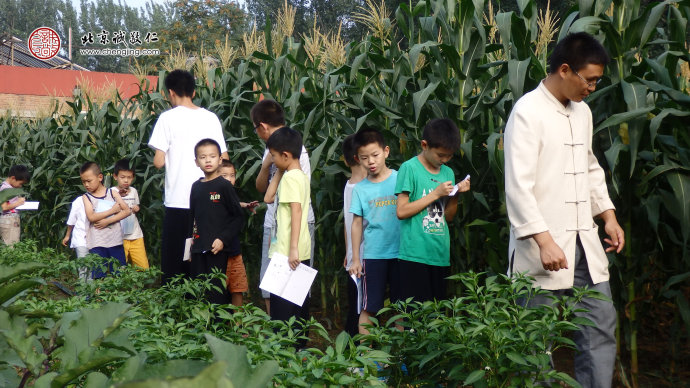 
玉米田里孩子們認(rèn)真學(xué)習(xí)的身影