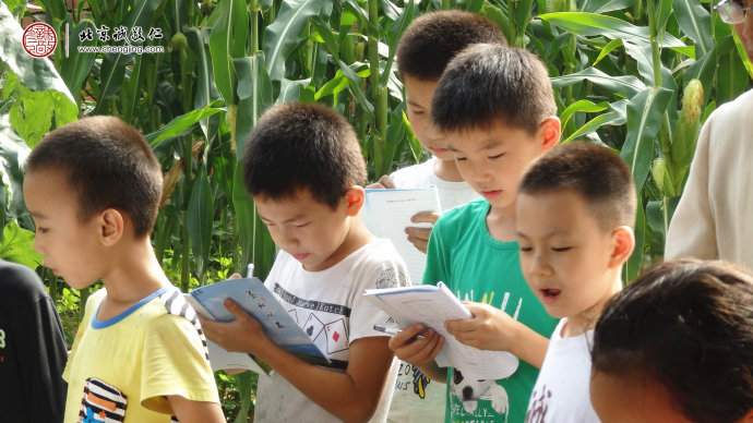 專注認(rèn)真的神情是孩子們好學(xué)的精神