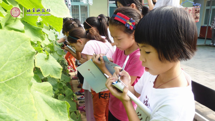 專注的神情是孩子們好學(xué)的精神；記錄下今天學(xué)習(xí)的點點滴滴。