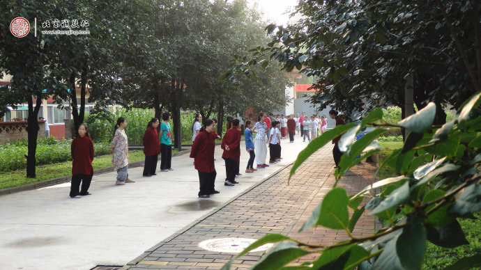 清晨陽光下，學員習練太極拳基本功