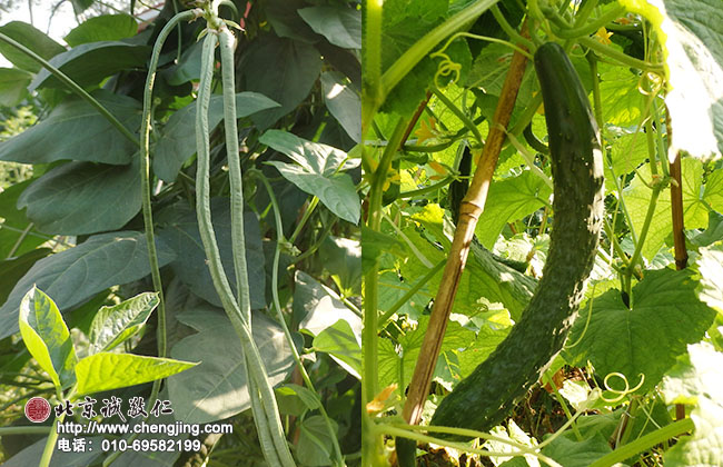 頒發十佳學員獎