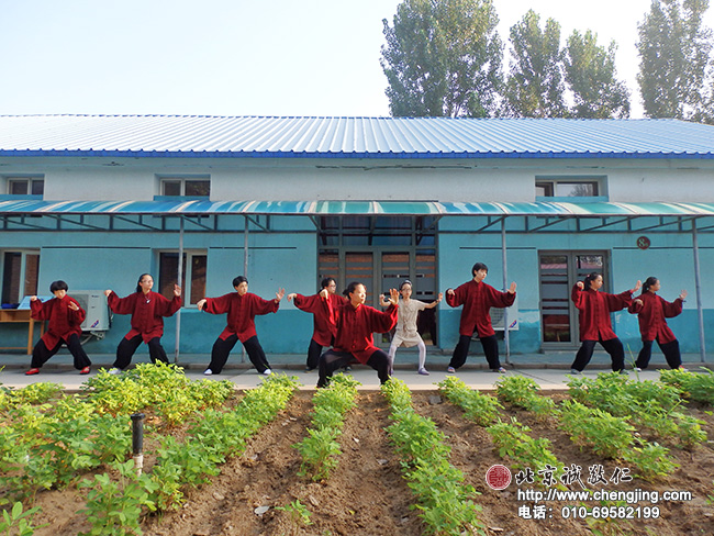 朗日的晴空下，迎著朝露，擺好架勢，呼吸著植物散發出最新鮮的氧氣。