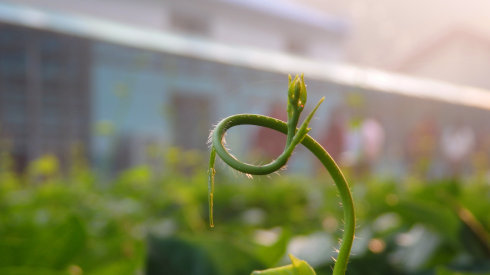 北京誠敬仁2014年暑期德藝書法篆刻培訓班