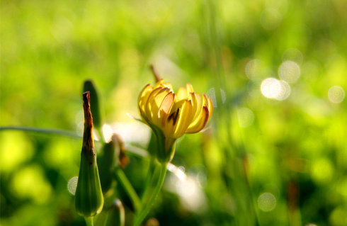 北京誠敬仁2014年暑期德藝書法篆刻培訓班