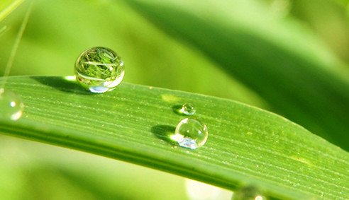 北京誠敬仁2014年暑期德藝書法篆刻培訓班