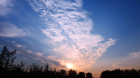 北京誠敬仁2014年暑期德藝書法篆刻培訓班