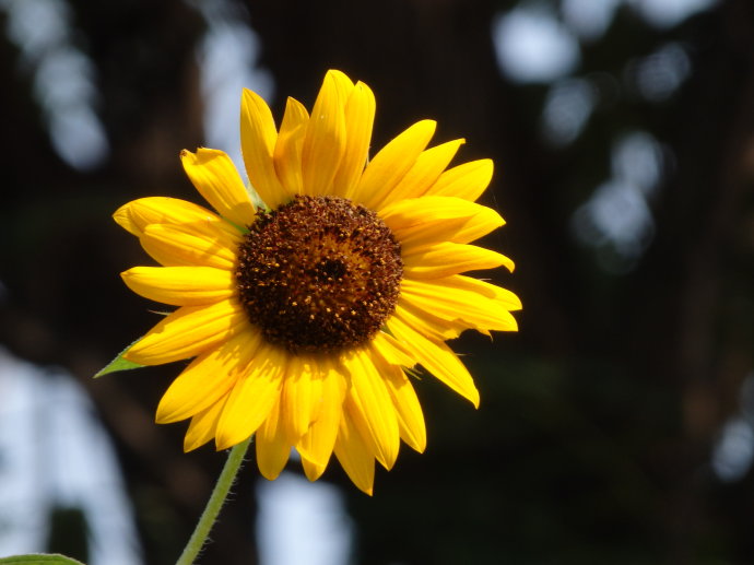 北京誠敬仁2014年暑期德藝書法篆刻培訓(xùn)班