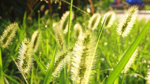 北京誠(chéng)敬仁2014年暑期德藝書法篆刻培訓(xùn)班