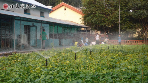美麗的小院一景