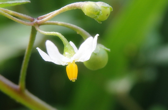 今天我升級(jí)到了用墨書(shū)寫(xiě),看把我給美得。