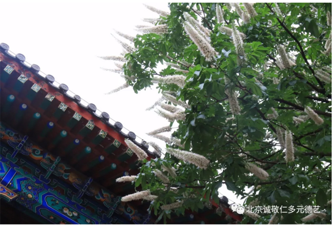 房山石經探訪游學