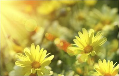 養(yǎng)老院的彩繪故事