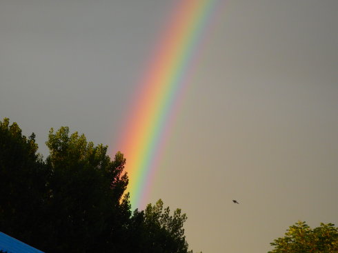 北京誠敬仁通州小院即景