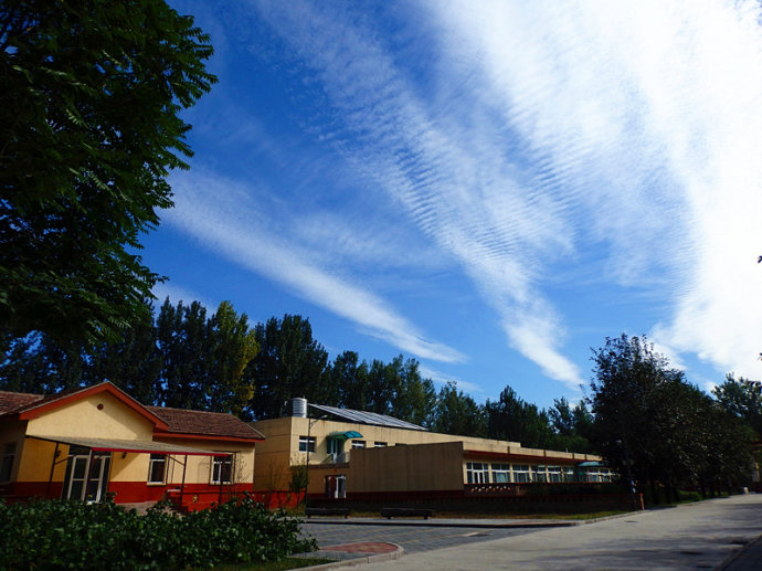 小院的秋之舞，秋之歌。