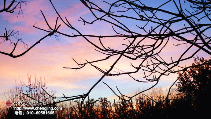 冬日舒展，靜穆晨輝；四時交替，生生不息