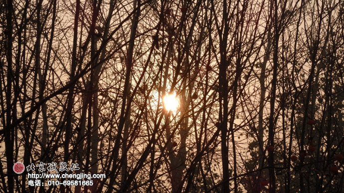 冬日暖陽，述說理不清的思緒；
熠熠光芒，伴隨走過歲月蹉跎。