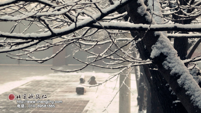 熟悉的街景，來來去去；
