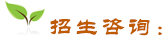 招生咨詢