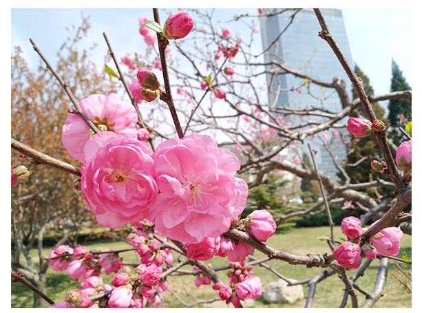 他們似乎更加懂事，體貼身邊人了！