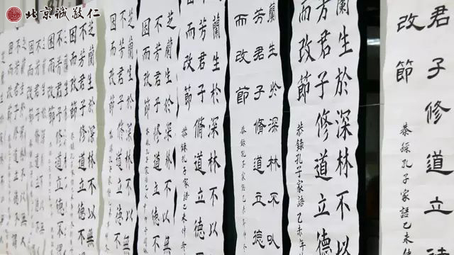 常青組比賽內(nèi)容