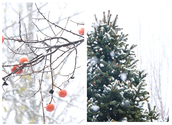 楊老師多元德藝講座